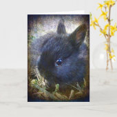 Baby Lionhead Bunny All Occasions Kaart (Gele Bloem)