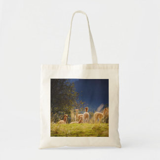 Baby Llamas in een veld Tote Bag