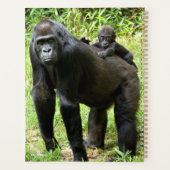 Baby Lowland Gorilla op moeders rug Planner (Achterkant)