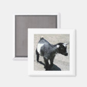 Baby Magneet (Voorkant / Achterkant)