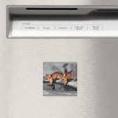 Baby Magneet (Insitu (Vaatwasser))