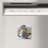 Baby Magneet (Insitu (Vaatwasser))