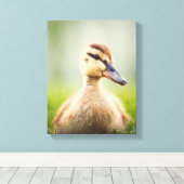 Baby Mallard Ducking Canvas Afdruk (Insitu (Houten vloer))