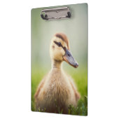 Baby Mallard Ducking Klembord (Links)