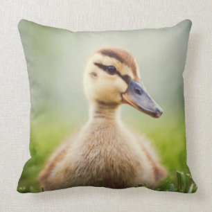 Baby Mallard Ducking Kussen