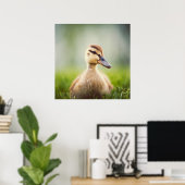 Baby Mallard Ducking Poster (Thuiskantoor)
