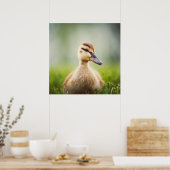 Baby Mallard Ducking Poster (Keuken)