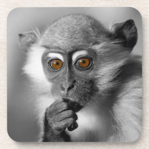 Baby Mangabey Monkey Drankjes Onderzetter