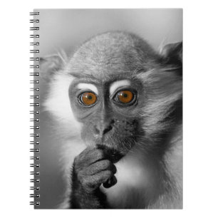 Baby Mangabey Monkey Notitieboek