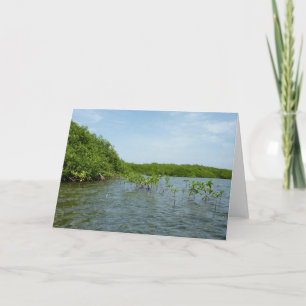 Baby Mangrove bomen in het Caribisch gebied Kaart