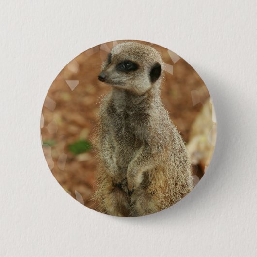 Baby Meerkat Round Button (Voorkant)