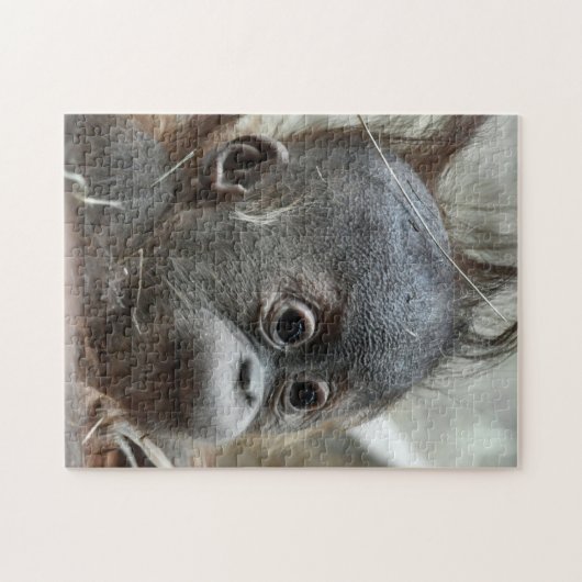 Baby Monkey Puzzle Legpuzzel (Horizontaal)