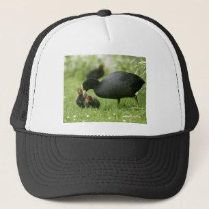 Baby Moorhens Trucker Pet