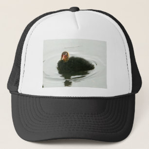 Baby Moorhens Trucker Pet