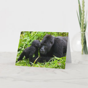 Baby Mountain Gorilla Kisses Silverback Gorilla Kaart