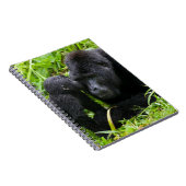 Baby Mountain Gorilla Kisses Silverback Gorilla Notitieboek (Rechterzijde)