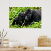 Baby Mountain Gorilla Kisses Silverback Gorilla Poster (Keuken)