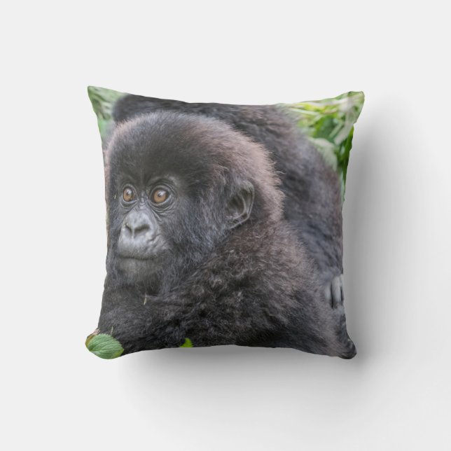 Baby Mountain Gorilla Kussen (Voorkant)