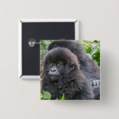 Baby Mountain Gorilla Vierkante Button 5,1 Cm (Voorkant /achterkant)