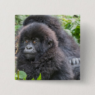 Baby Mountain Gorilla Vierkante Button 5,1 Cm