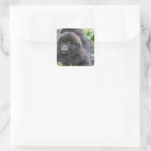 Baby Mountain Gorilla Vierkante Sticker (Tas)