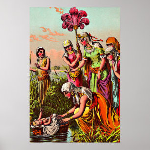 Baby Mozes op het poster van de rivier