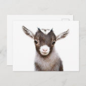 baby nanny Goat Briefkaart (Voorkant / Achterkant)