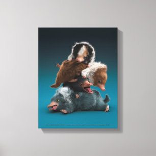 Baby NIFFLER™-pool Canvas Afdruk