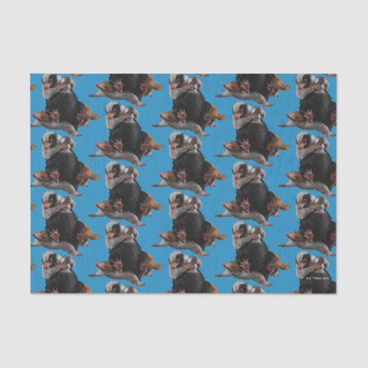 Baby Nifflers Find A Prize Tissuepapier (Voorkant)