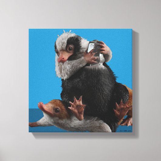 Baby Nifflers zoeken prijs Canvas Afdruk (Voorkant)