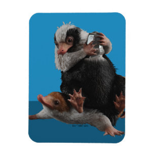 Baby Nifflers zoeken prijs Magneet