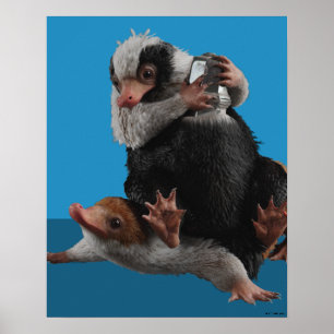Baby Nifflers zoeken prijs Poster