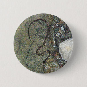 Baby Noord-waterslang (Nerodia sipedon) Ronde Button 5,7 Cm