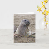 Baby Northern Elephant Seal Kaart (Gele Bloem)