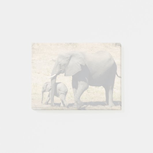 Baby-olifant en moeder post-it® notes (Voorkant)