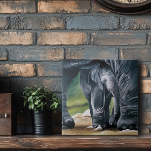 Baby Olifant Grijs Schattige Tegeltje