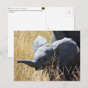 Baby Olifant in Masai Mara, Kenia Reisansichtkaart Briefkaart