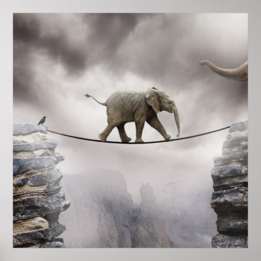 Baby olifant loopt de Tightrope Poster (Voorkant)