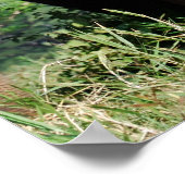 Baby olifant poster (Hoek)