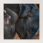 Baby olifanten in waterglimlach legpuzzel (Horizontaal)