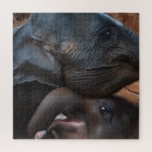Baby olifanten in waterglimlach legpuzzel (Verticaal)