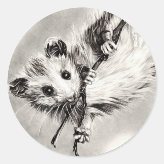 Baby Opossum Stickers (Voorkant)