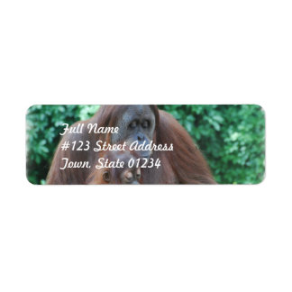 Baby orang-oetan met moeder mailing labels