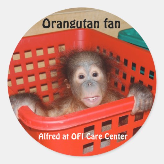 Baby Orangutan Alfred Ronde Sticker (Voorkant)