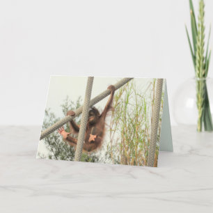 Baby Orangutan Birthday Kaart