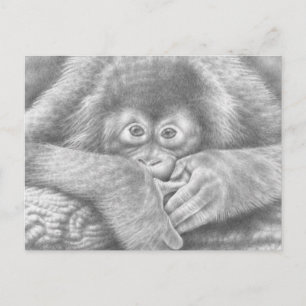 Baby Orangutan Briefkaart