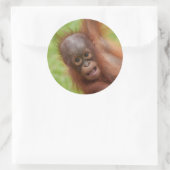 Baby Orangutan Joy Ronde Sticker (Tas)