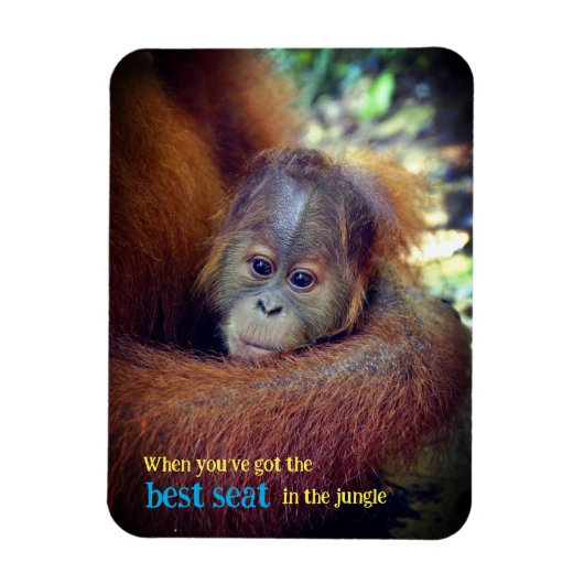 Baby Orangutan Magneet (Verticaal)