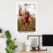 Baby Orangutan Mason Poster (Thuiskantoor)