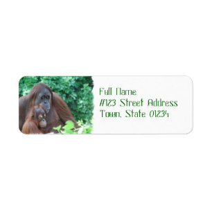 Baby Orangutan met Moeder Mailing Labels